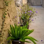 Casa Piedra Picuda 1 Daire