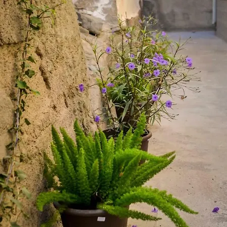 Casa Piedra Picuda 1 Appartement